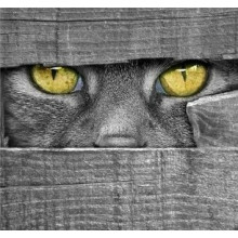 Вариант врезной