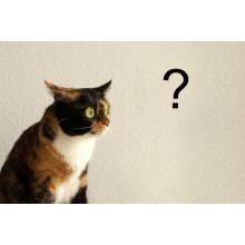 Фонари подсветки номера