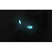 Фара освещения салона