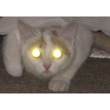 Светодиодные фары дальнего света