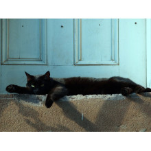 Форма балки