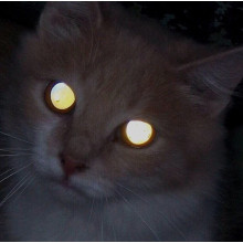 Светодиодные фары рабочего света