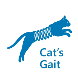 Стойки кайловеры передние для Toyota Land Cruiser 100 Series (переход с торсионов на стойки) лифт +50мм , +100 кг для мотора 2UZ / для мотора 1HDFT , то +50мм , +50 кг.