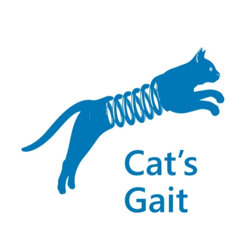 Стойки кайловеры передние для Toyota Land Cruiser 100 Series (переход с торсионов на стойки) лифт +50мм , +100 кг для мотора 2UZ / для мотора 1HDFT , то +50мм , +50 кг.