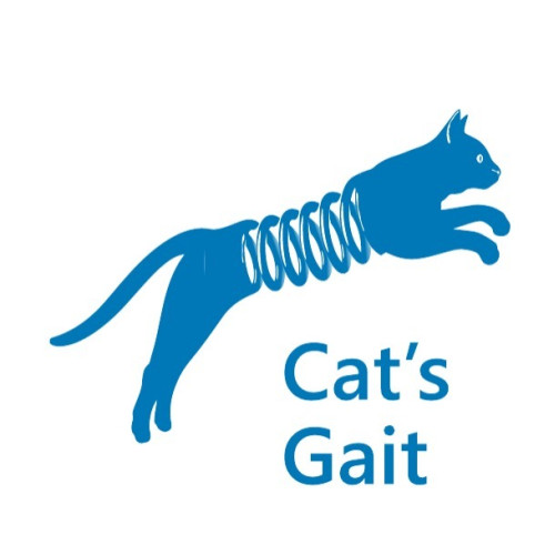 Пружины DenSprings задние FJ 2010 +, 4Runner 2009+ c лифтом 50мм с нагрузкой +100кг(прогрессивные)