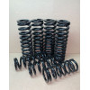 Пружины DenSprings задние Nissan Patrol Y60, Y61, Safari c лифтом 150мм с нагрузкой 300 кг 