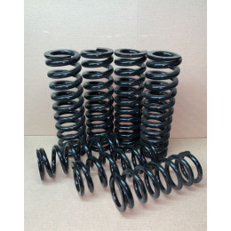 Пружины DenSprings задние Nissan Patrol Y60, Y61, Safari c лифтом 100 с нагрузкой до 100кг (прогрессивные)