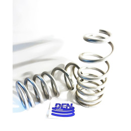 Пружины DenSprings задние Toyota 150 Prado с лифтом 50 и нагрузкой 300кг 