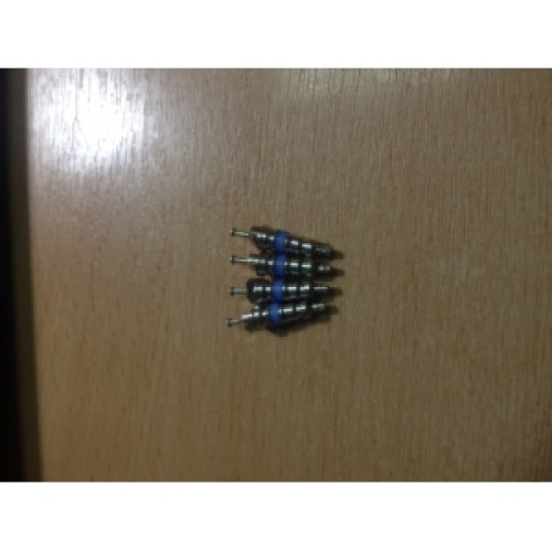 Золотник клапан Schrader зеленый 30-500  -10 градусов (1шт)